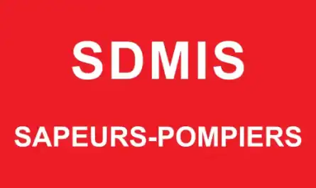 Logo SDMIS